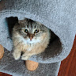 Meet your Posher, Beth